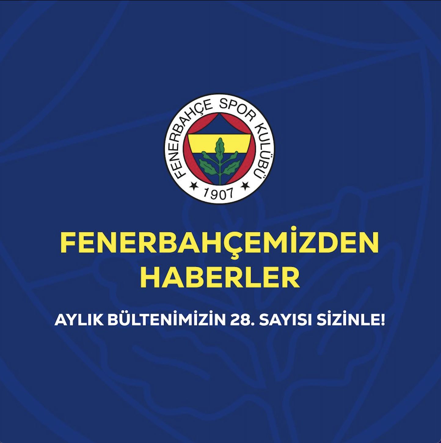 Kaplangözü 10mm Bileklik