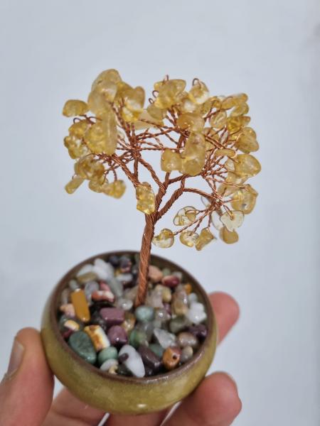Sitrin Tree