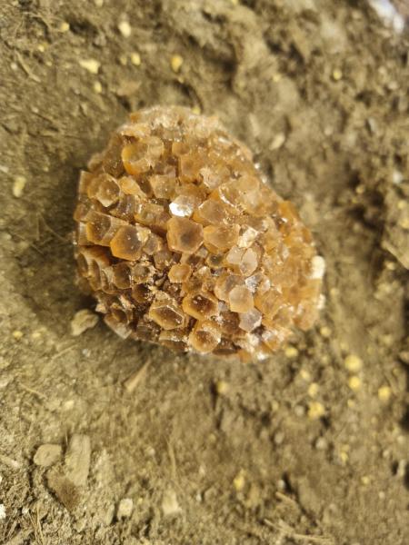 Aragonit 205 gram